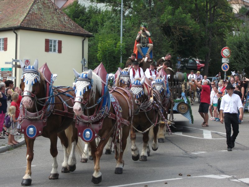 dscf3285.jpg