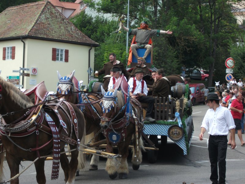 dscf3286.jpg
