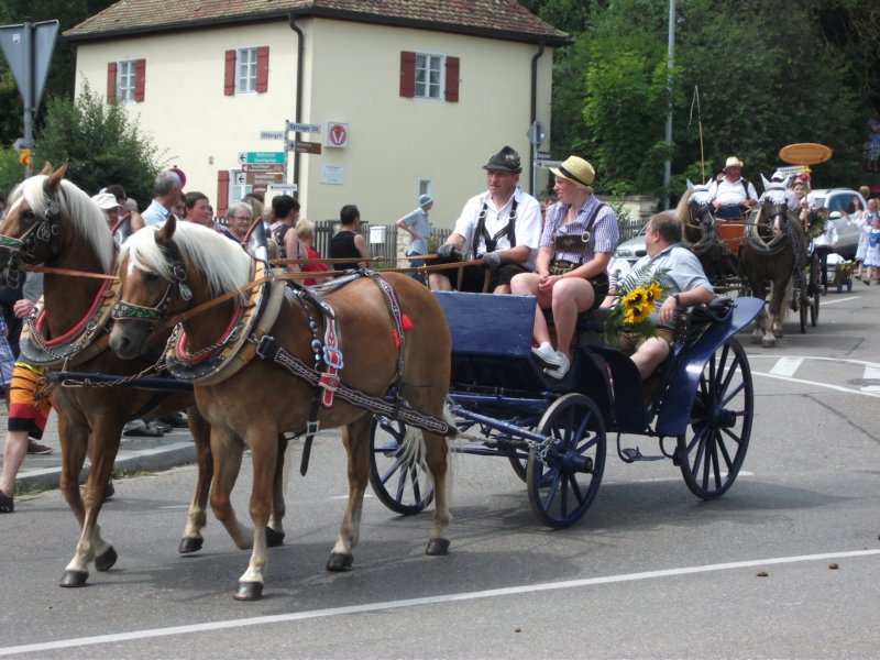 dscf3288.jpg