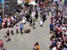 dsc03799_small.jpg