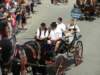 dscn1488_small.jpg